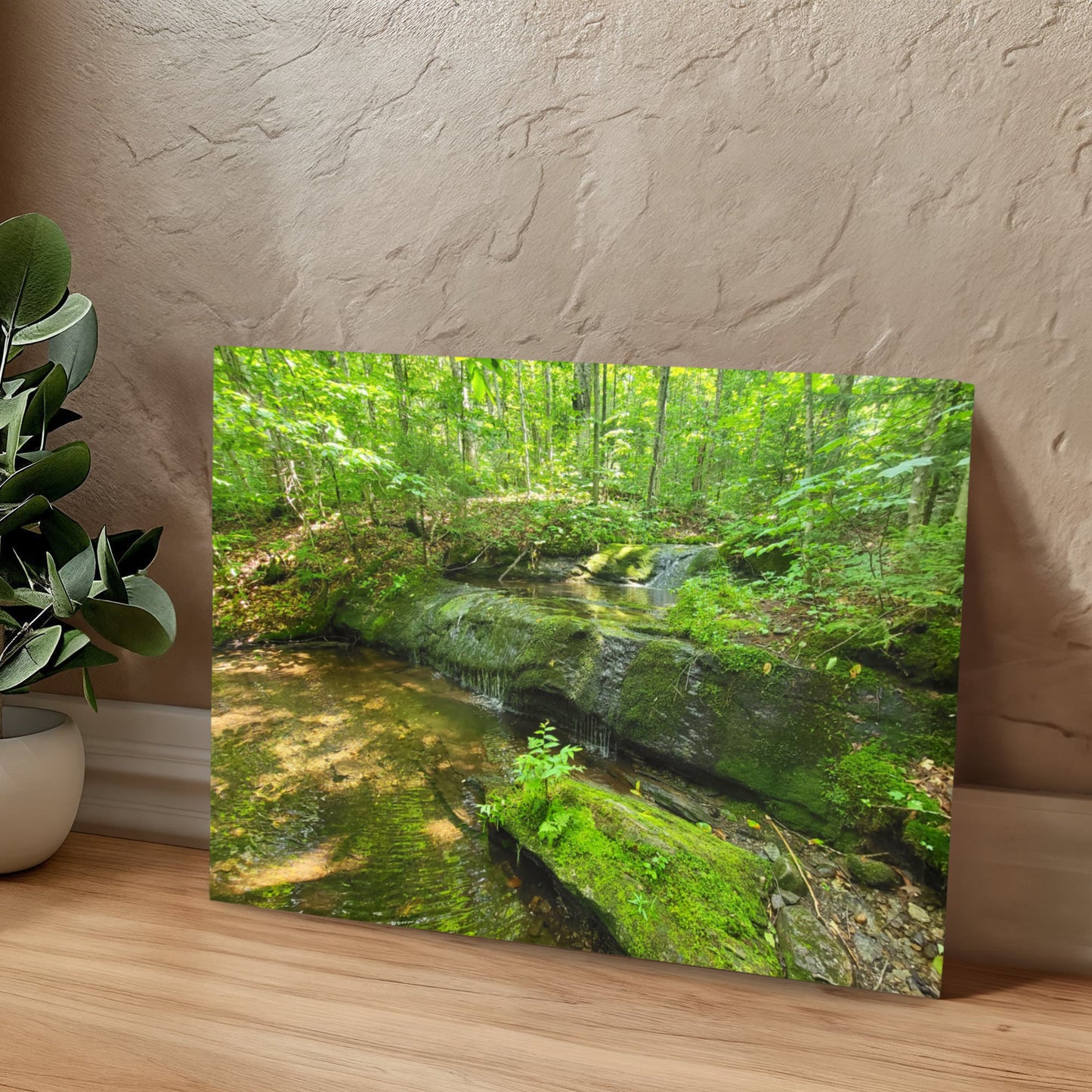 "Serene Oasis on the Long Trail" - Gallery Wrapped Canvas - Hiking With Stickers '24