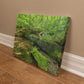 "Serene Oasis on the Long Trail" - Gallery Wrapped Canvas - Hiking With Stickers '24