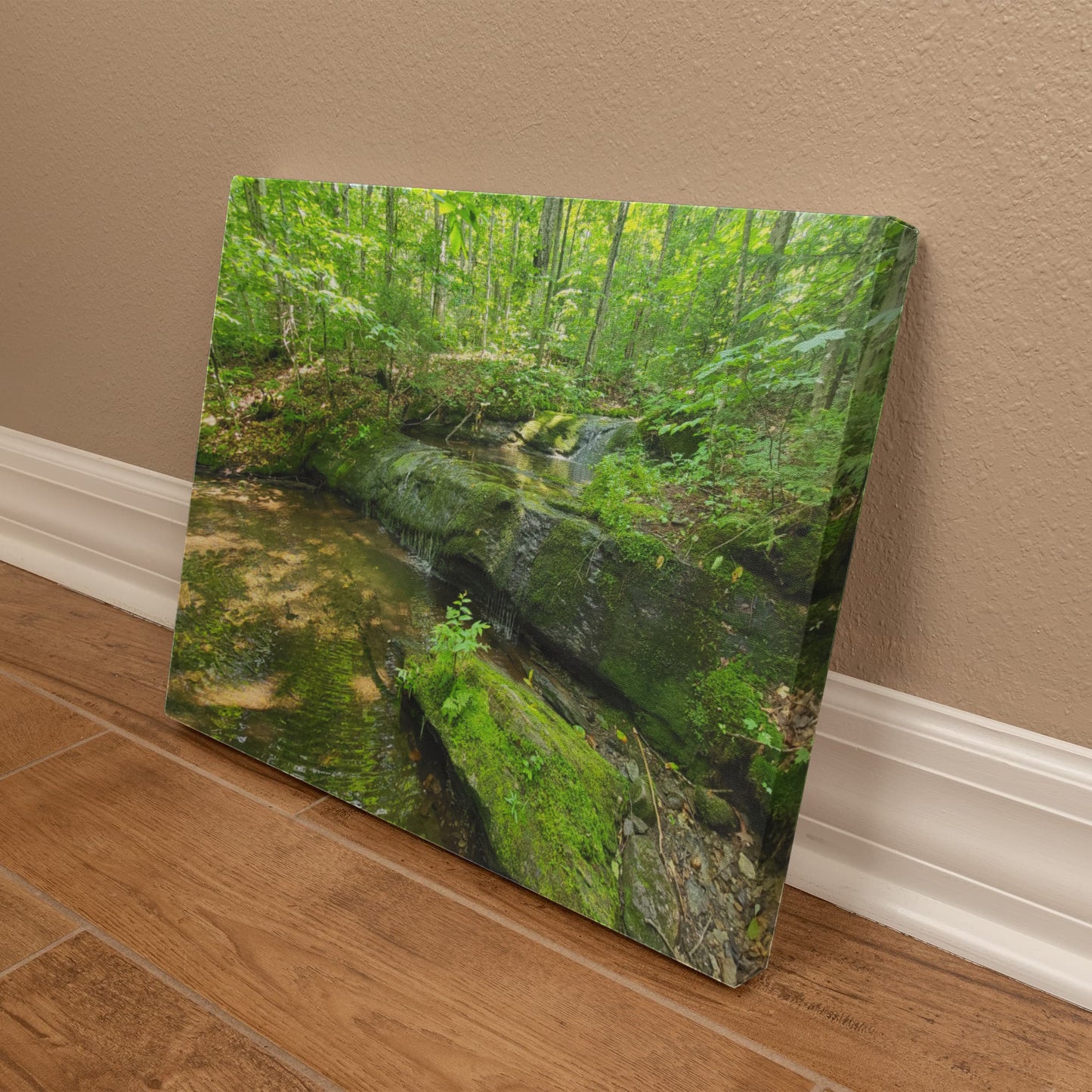 "Serene Oasis on the Long Trail" - Gallery Wrapped Canvas - Hiking With Stickers '24
