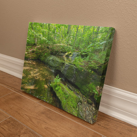 "Serene Oasis on the Long Trail" - Gallery Wrapped Canvas - Hiking With Stickers '24
