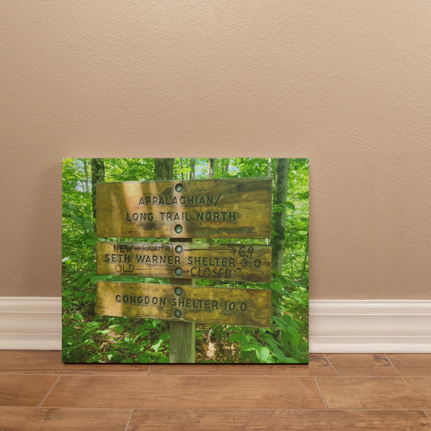 "Trail Crossroads – The Journey Unfolds" / Gallery Wrapped Canvas / Hiking With Stickers '24