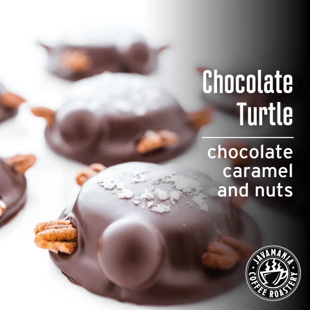 Chocolate Turtle