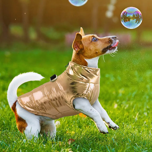 Stylish Waterproof Dog Outerwear