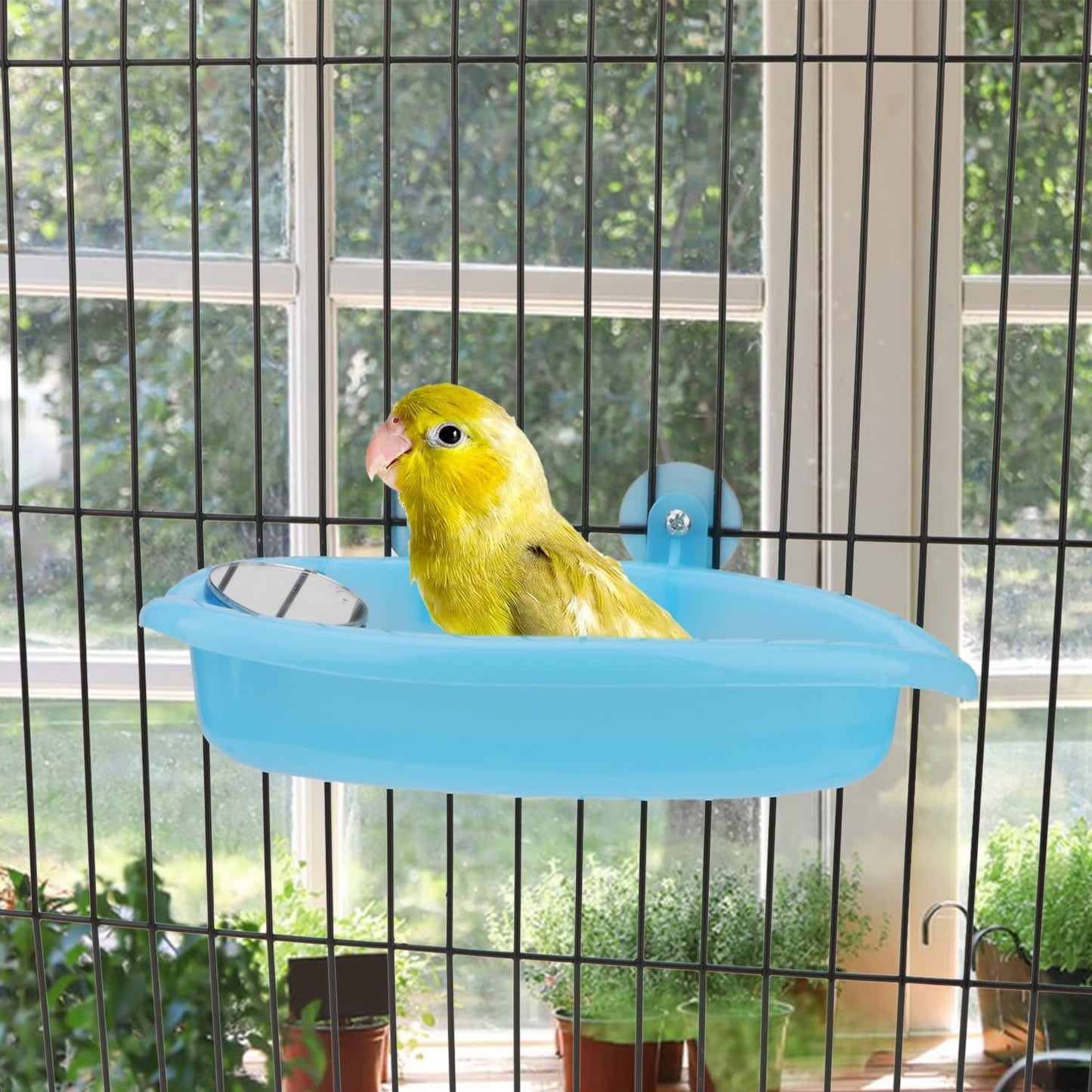 Bird Bath with Mirror Portable