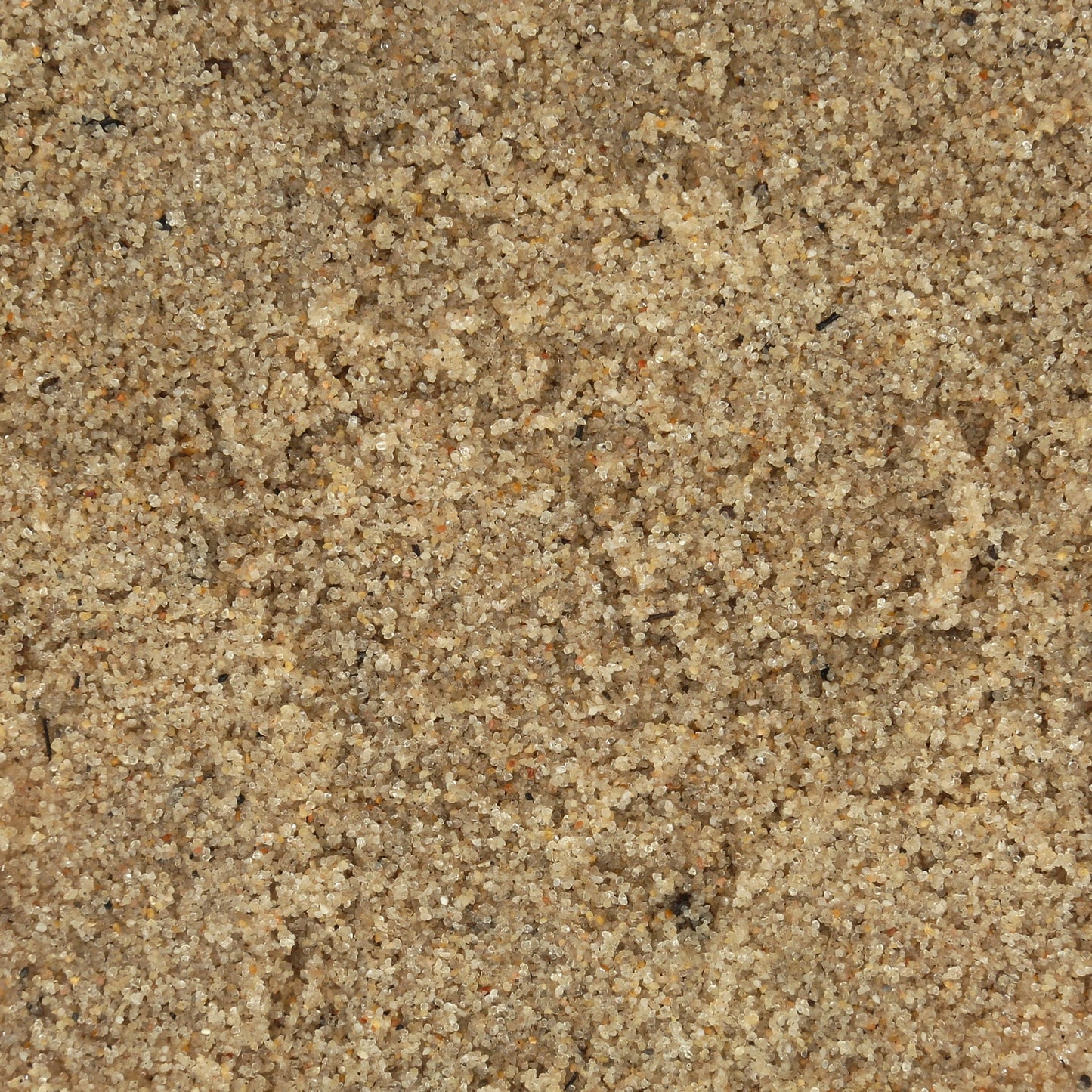 All- Natural Beach Sand Substrate for Hermit Crabs