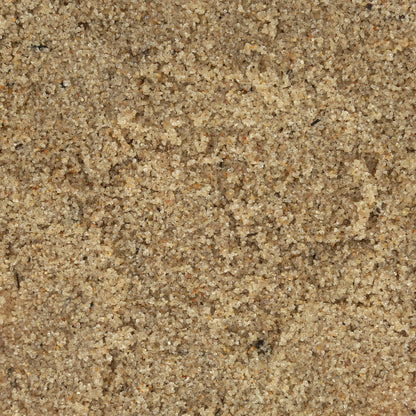 All- Natural Beach Sand Substrate for Hermit Crabs
