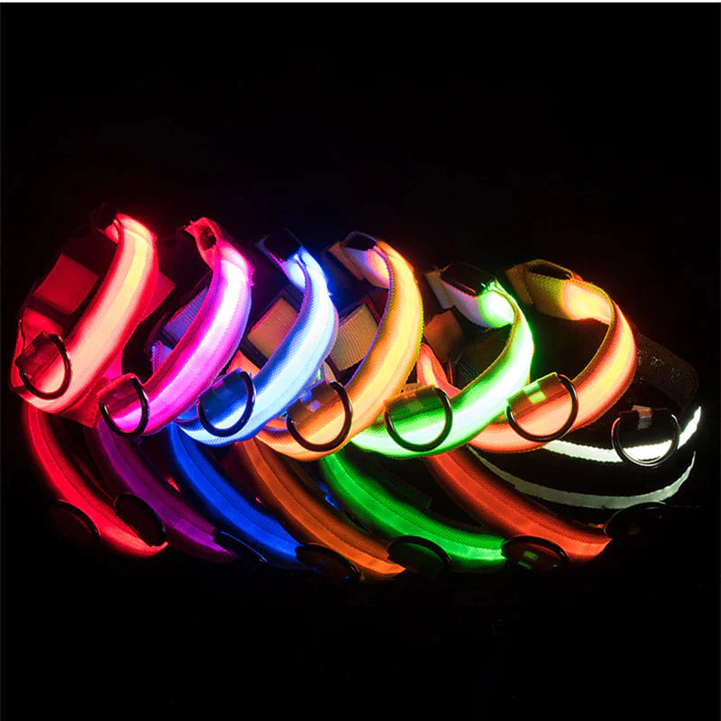 Luminous Safety Pet Collar with Adjustable LED