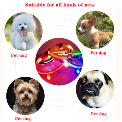 Luminous Safety Pet Collar with Adjustable LED