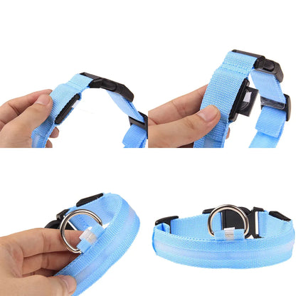 Luminous Safety Pet Collar with Adjustable LED