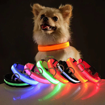 Luminous Safety Pet Collar with Adjustable LED