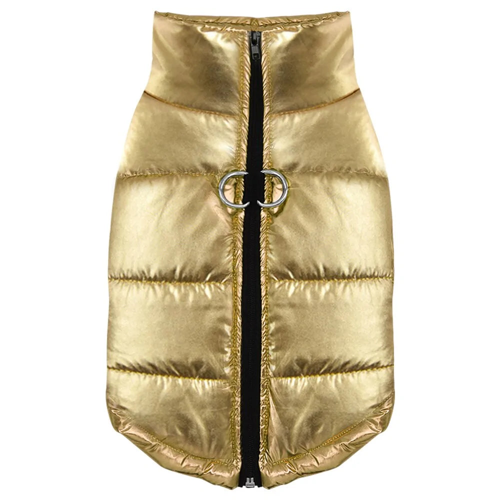 Stylish Waterproof Dog Outerwear