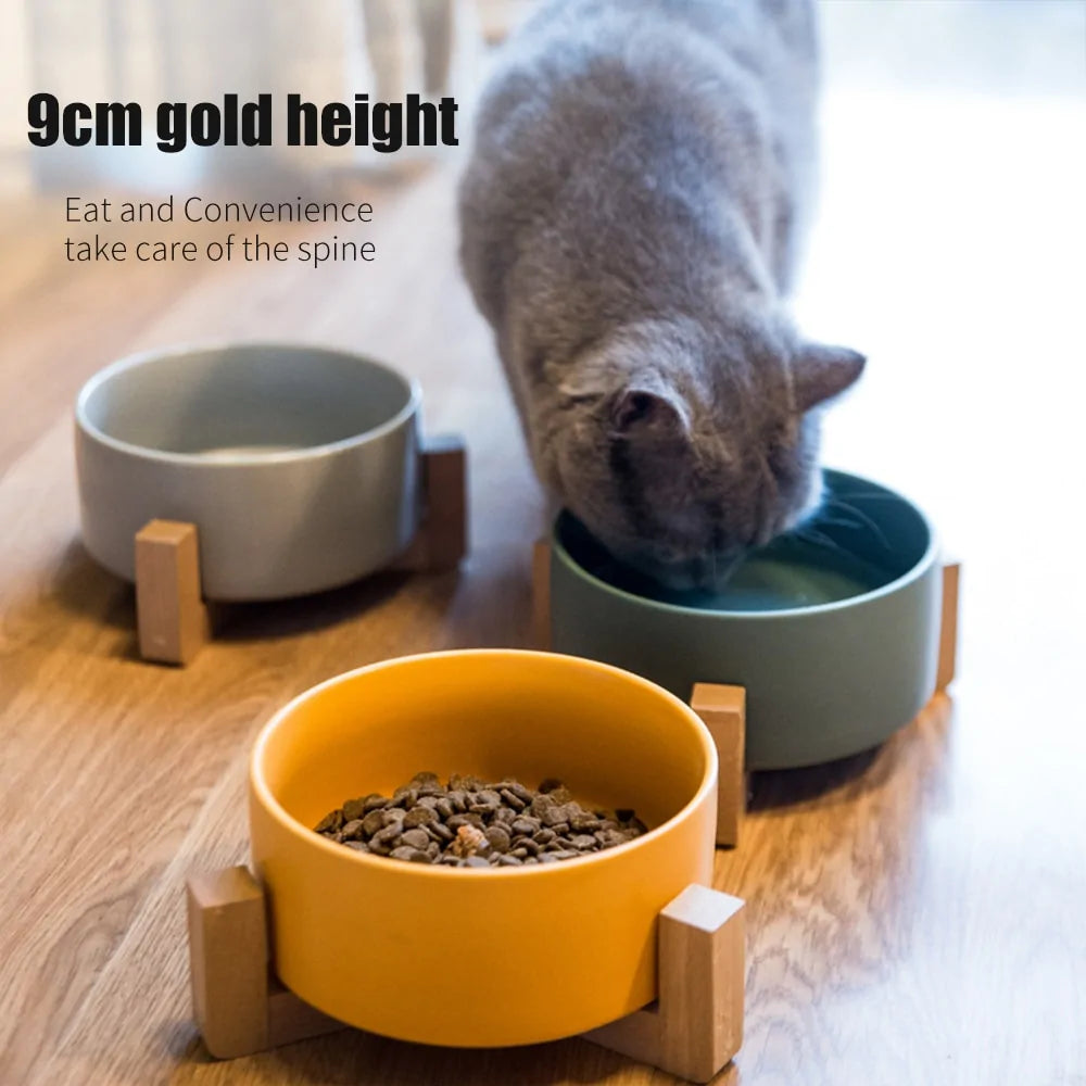 Ceramic Raised Cat Bowl w/ Wood Stand